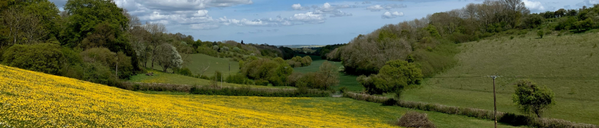 Fields-banner